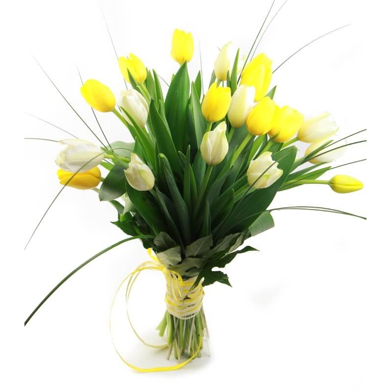 Ramo de tulipanes blancos y amarillos. Comprar tulipanes