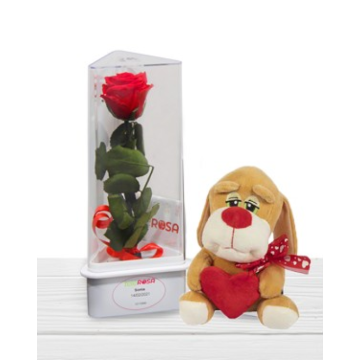 Rosa Eterna Preservada San Valentín Peluche Floristería Barata