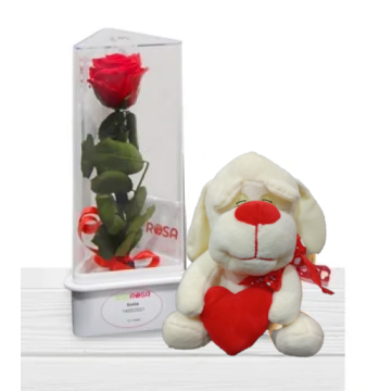 Rosa Eterna Preservada San Valentín Peluche Floristería Barata