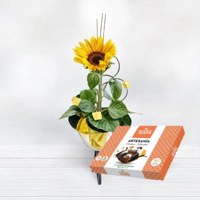 Buy Sunflower Give Sunflowers and Chocolates florestore Free Shipping