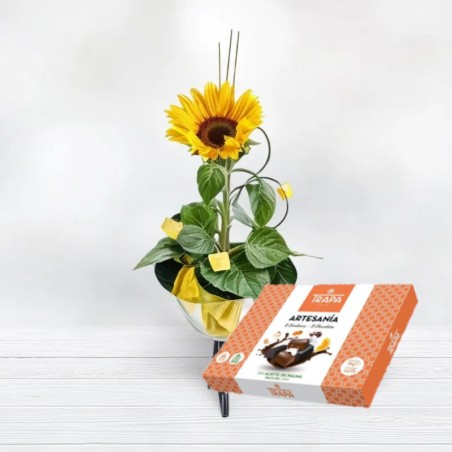 Comprar Girasol Regalar Girasoles y Bombones florestore Envío Gratis