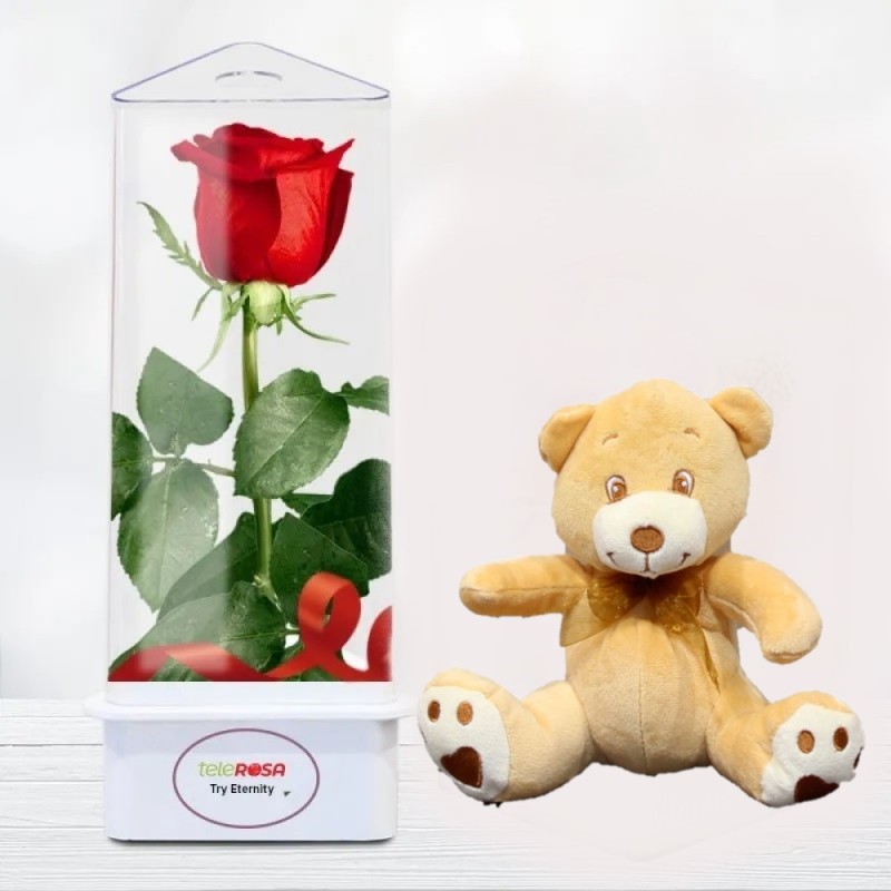 Eternal rose teddy bear online