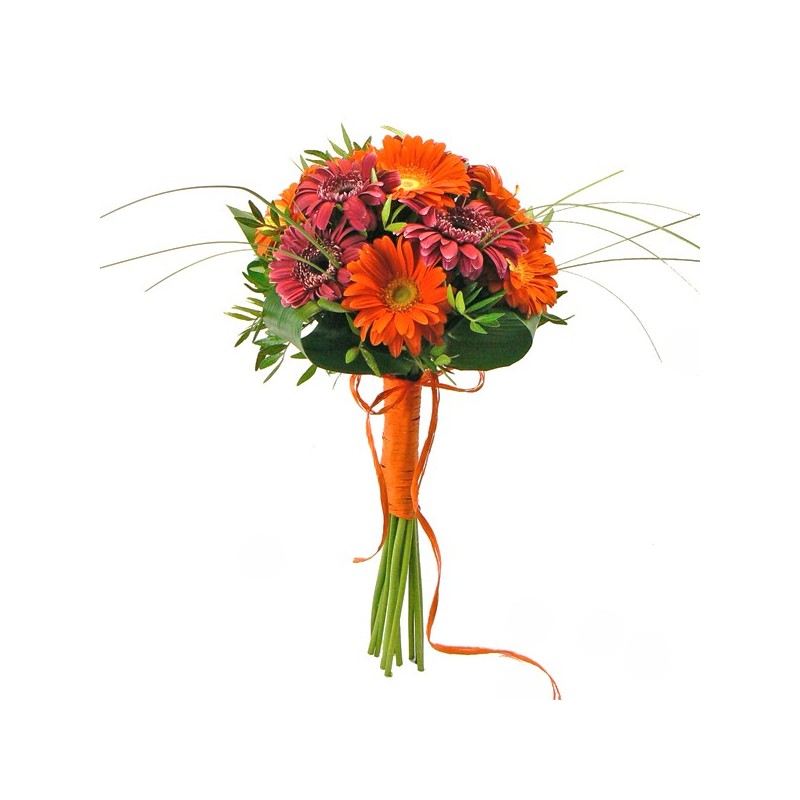 Gerberas Bouquet - Buy Gerberas ▶︎▶︎ Free Shipping!