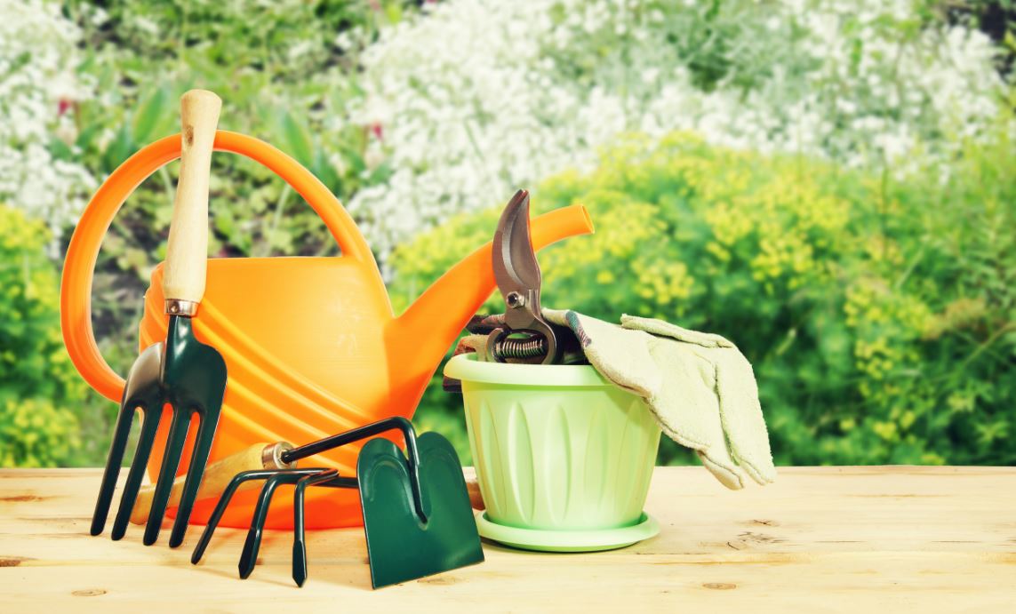 Tareas Básicas De Jardinería Para La Primavera - Florestore